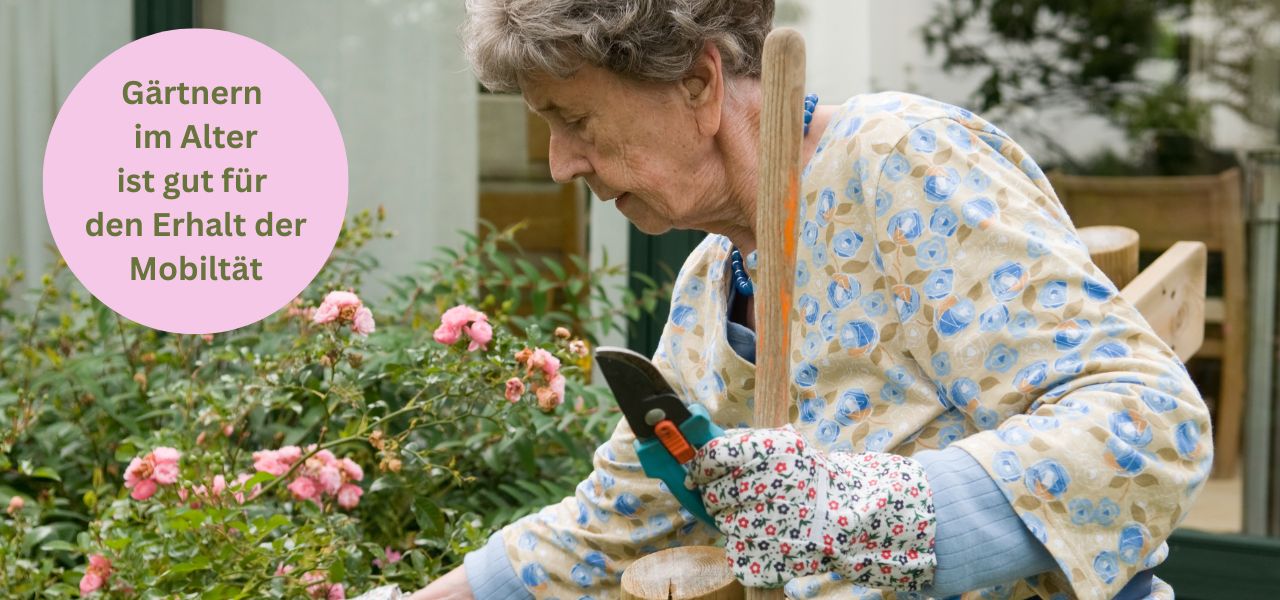Gärtnern im Alter ist gut für den Erhalt der Mobiltät