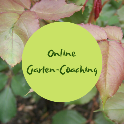 Online-Gartencoaching Gartenakademie