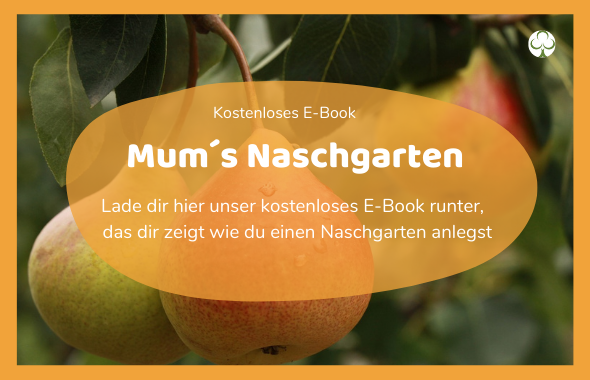 Ebook-Naschgarten