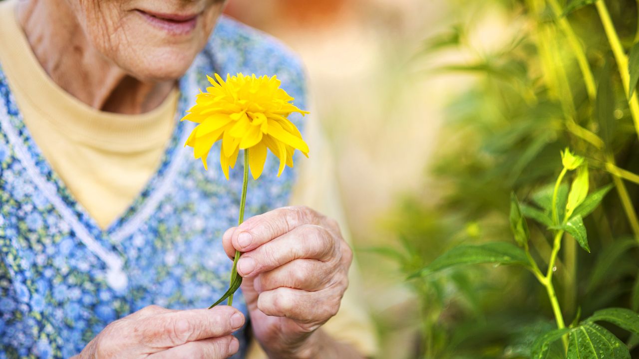 Was ist Gartentherapie für Senioren