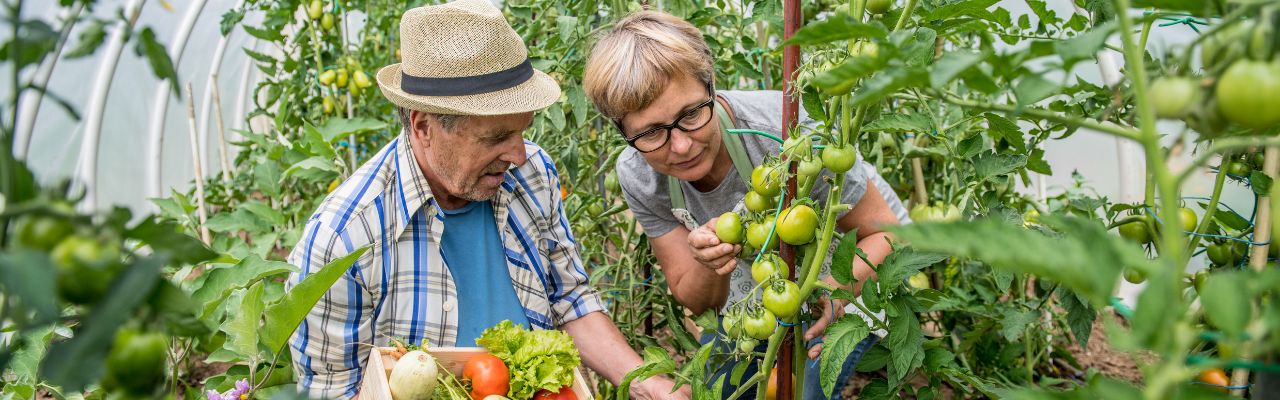 Gartentherapie Weiterbildung - Senioren
