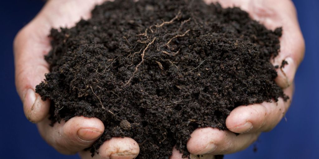 Sandigen Boden verbessern durch Humusaufbau