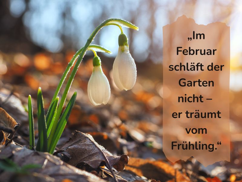Gartenspruch des Monats Feb. 26