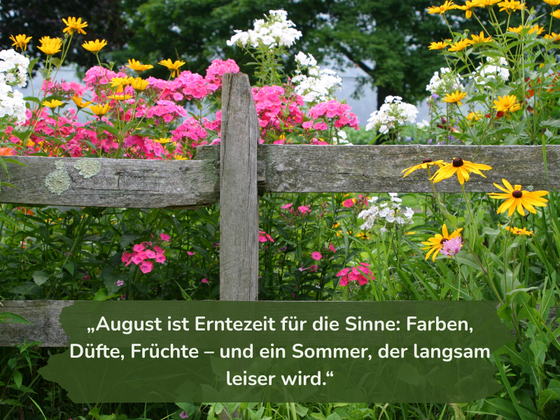 Gartenspruch des Monats August_26