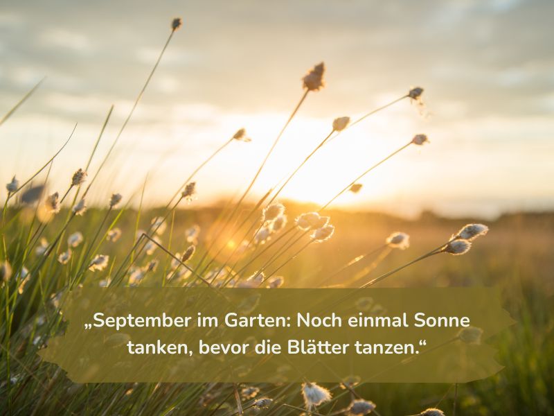 n Gartenspruch des Monats_September