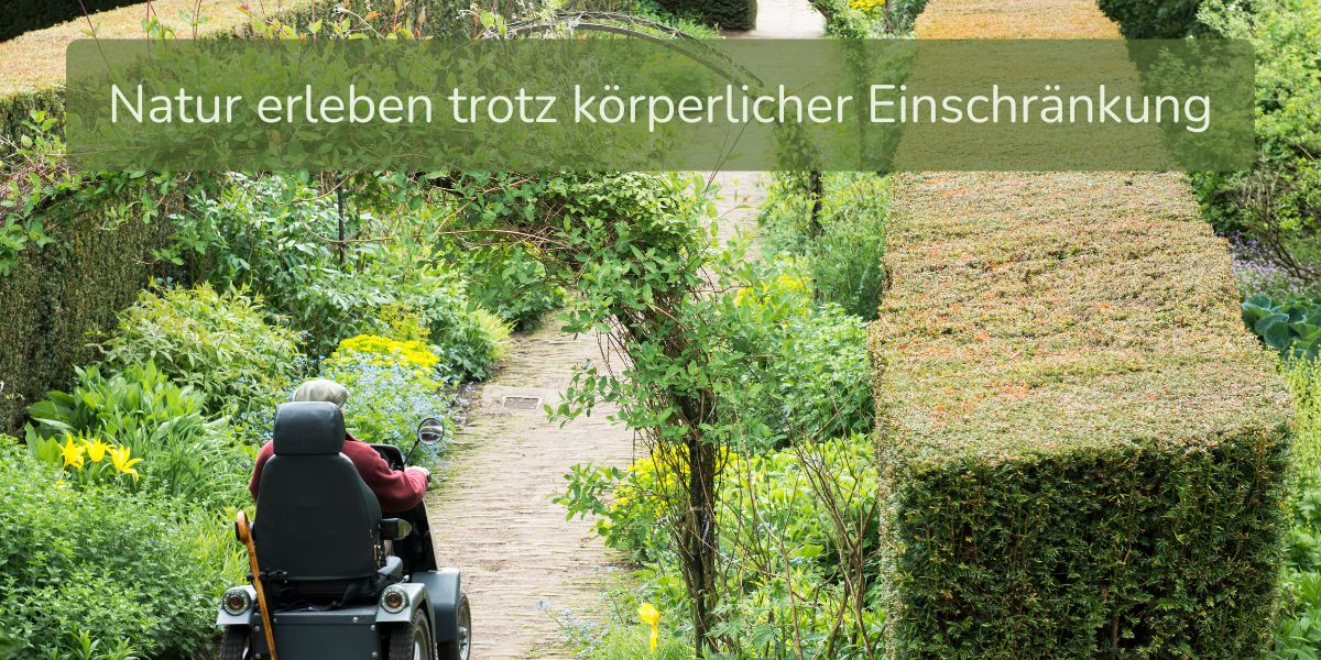 Gartentherapie für Senioren mit Einschränkungen