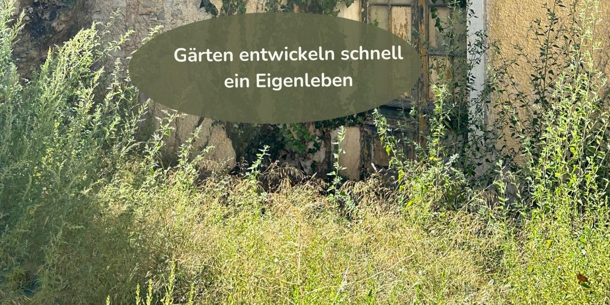 Gärten entwickeln schnell ein Eigenleben