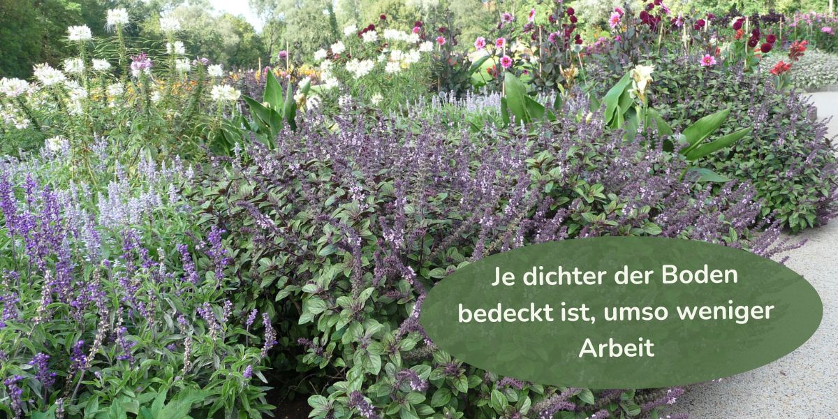 Gartenplanung - Je dichter der Boden bedeckt ist, umso weniger Arbeit