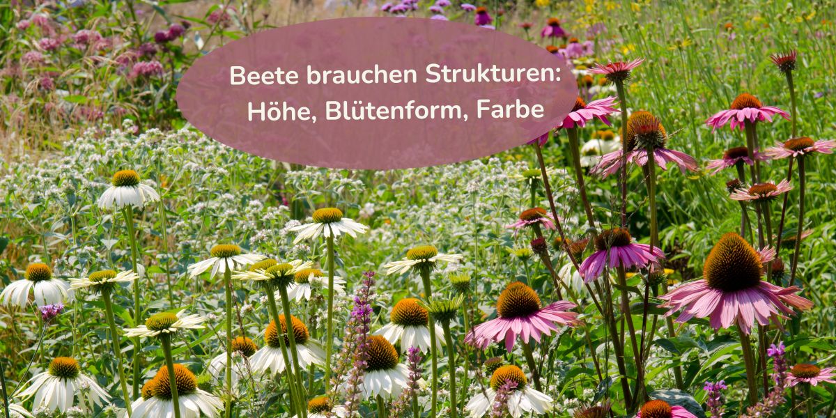 Gartenplanung - Struktur in der Pflanzung