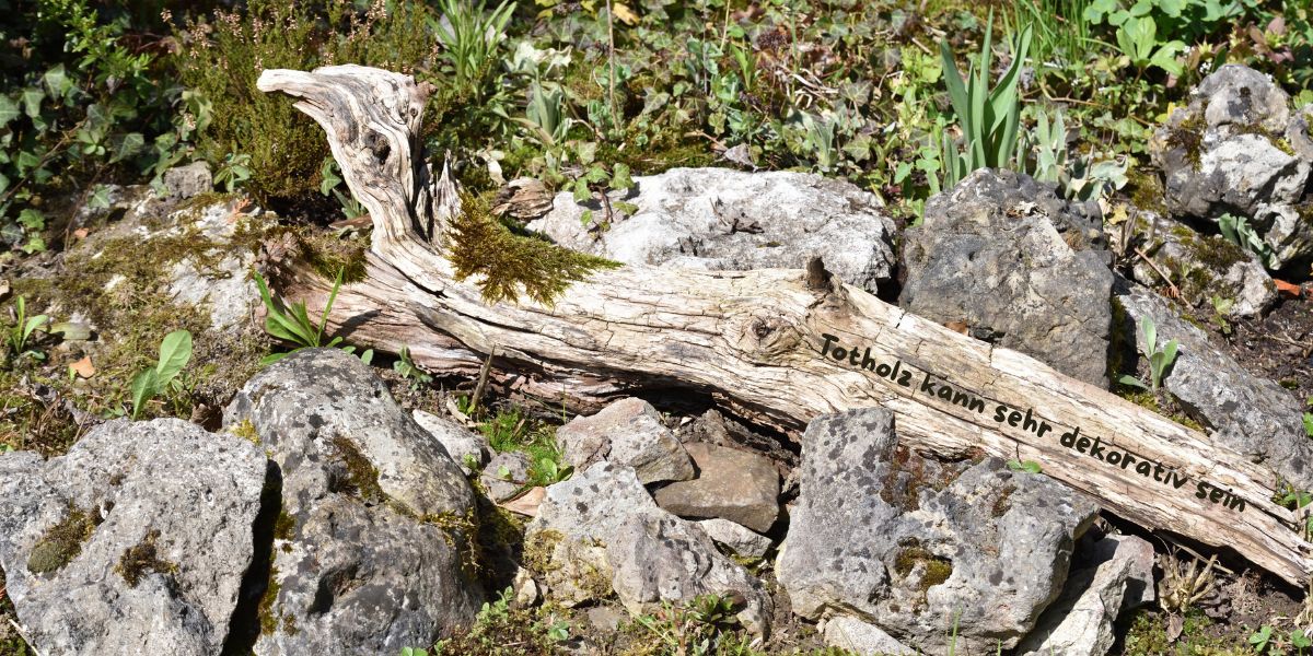Totholz - weniger ist mehr im Garten