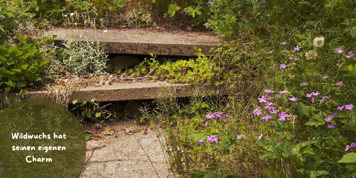 Weniger ist mehr im Garten - Wildwuchs hat seinen eigenen Charm