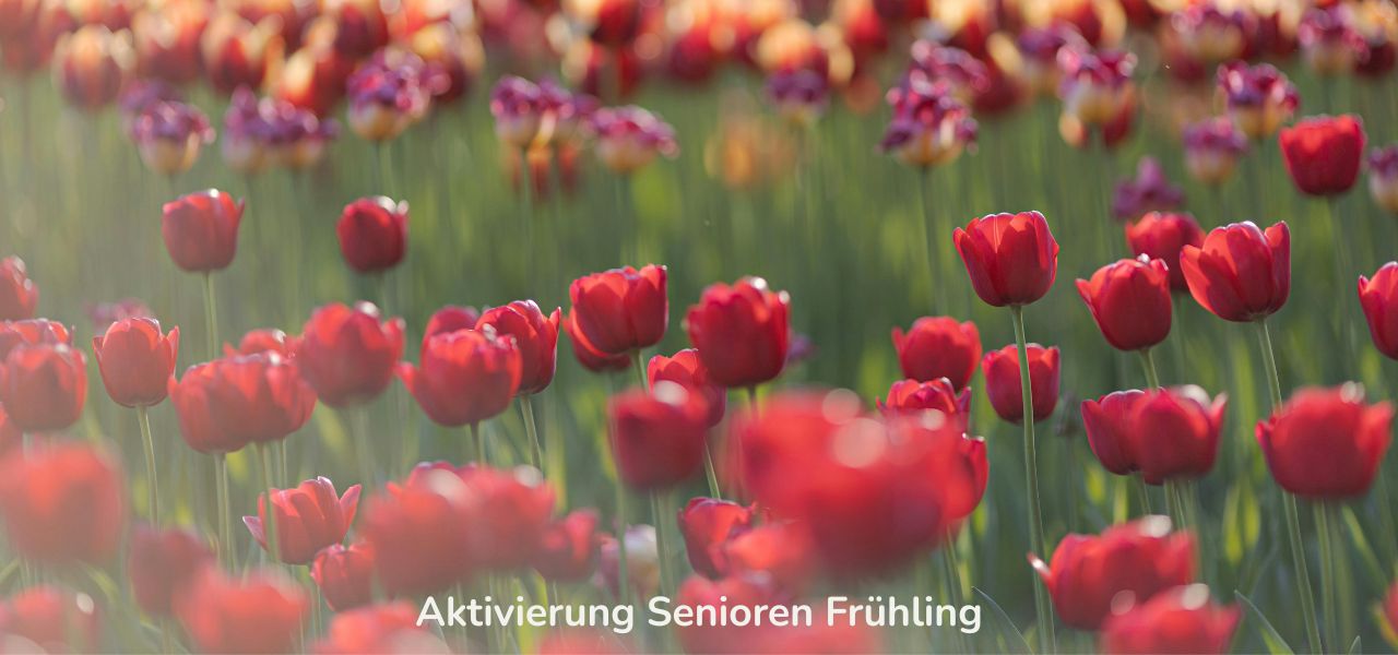 Aktivierung Senioren Frühling