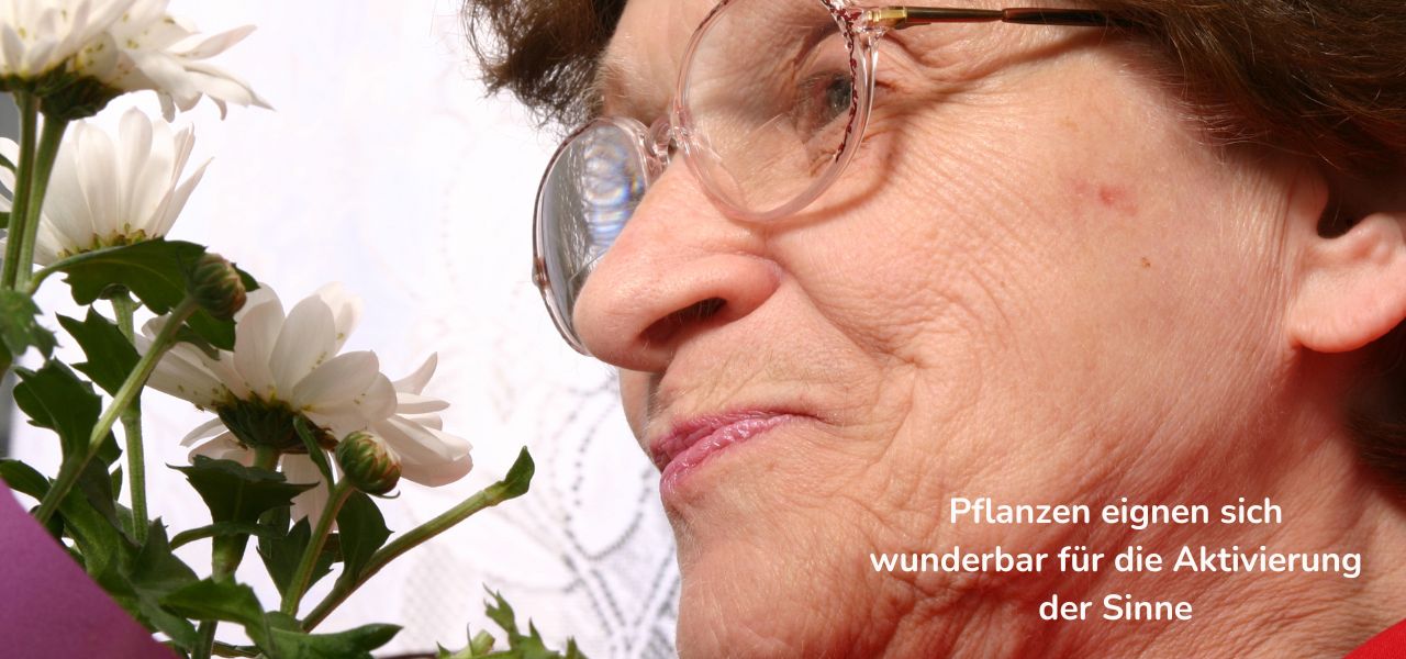 Pflanzen eignen sich wunderbar für die Aktivierung der Sinne bei Senioren
