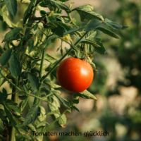 Kersten, BetreuungskraftHamburg