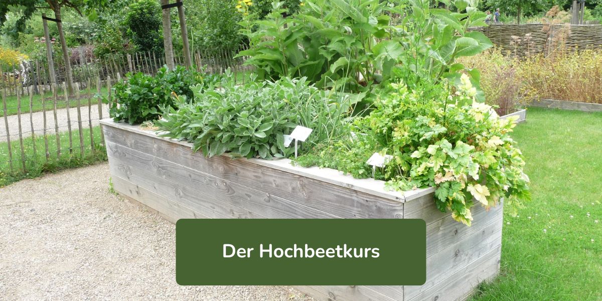 Der Hochbeetkurs Gartenkurse