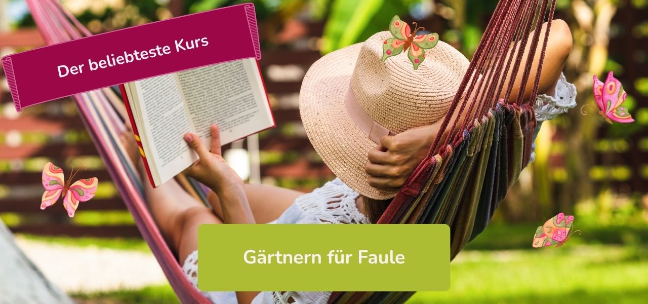 Gärtnern für Faule - Gartenkurs online