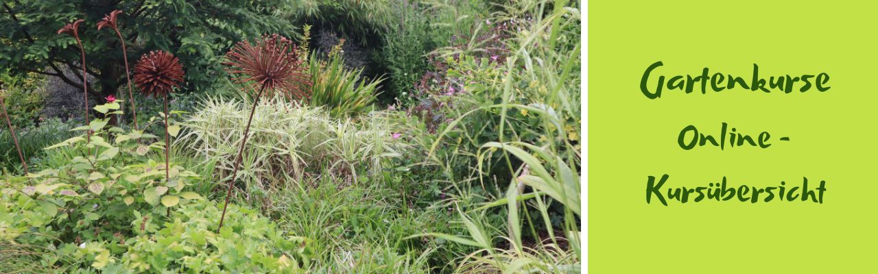 Gartenkurse online- Kursübersicht