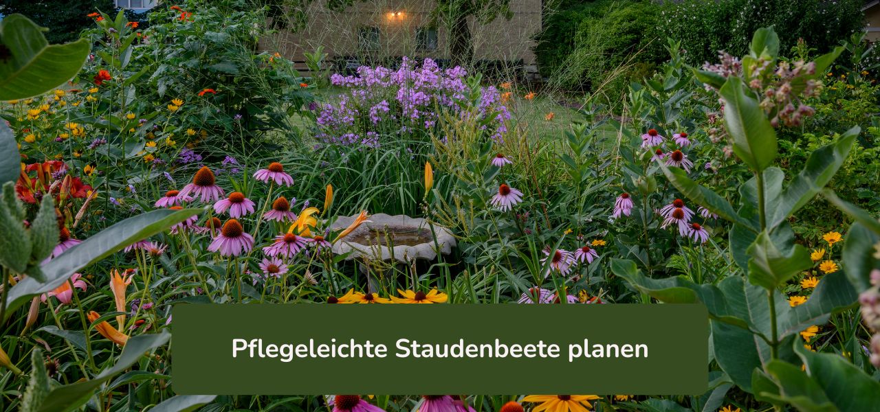 Pflegeleichte Staudenbeete planen - Gartenkurs online